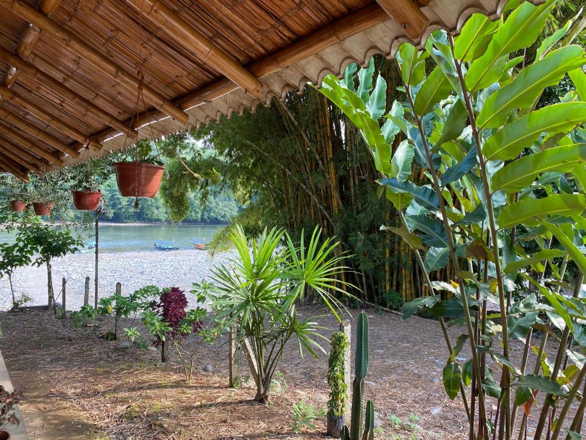 Ferienwohnung Playa Tortuga Puerto Misahuallí Exterior foto